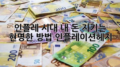 💰 인플레 시대, 내 돈 지키는 현명한 방법! #인플레이션헤지 🛡️